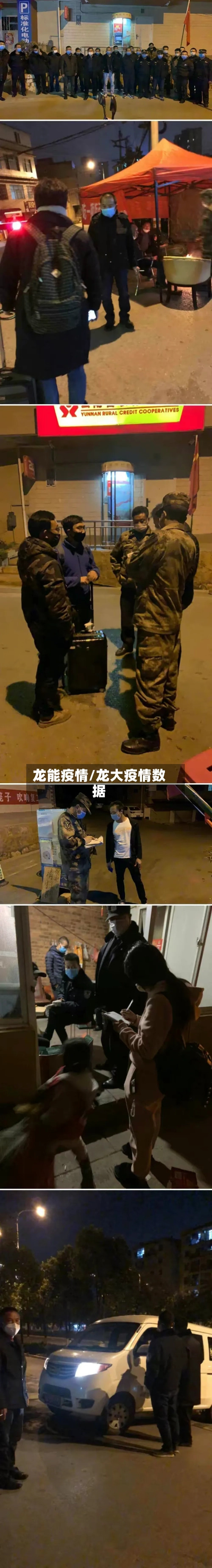 龙能疫情/龙大疫情数据