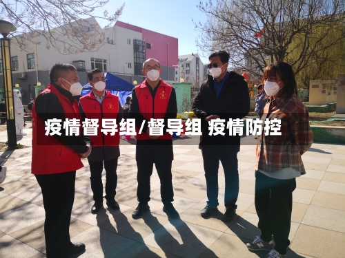 疫情督导组/督导组 疫情防控