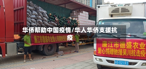 华侨帮助中国疫情/华人华侨支援抗疫