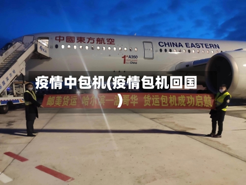 疫情中包机(疫情包机回国)