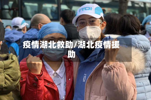 疫情湖北救助/湖北疫情援助