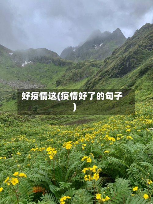 好疫情这(疫情好了的句子)