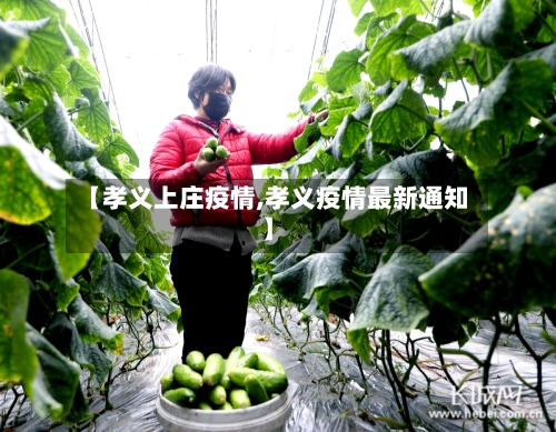 【孝义上庄疫情,孝义疫情最新通知】