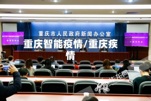 重庆智能疫情/重庆疾情