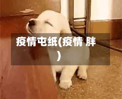 疫情屯纸(疫情 胖)