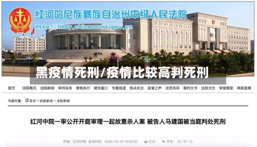 黑疫情死刑/疫情比较高判死刑