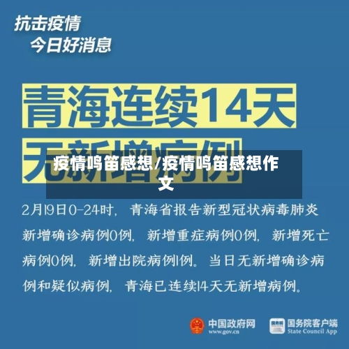 疫情鸣笛感想/疫情鸣笛感想作文