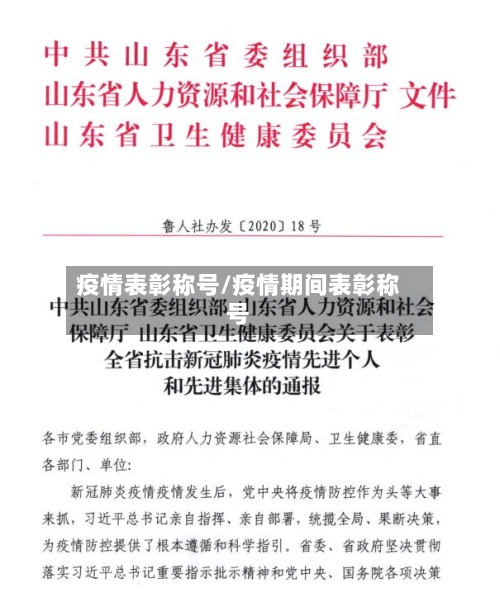 疫情表彰称号/疫情期间表彰称号