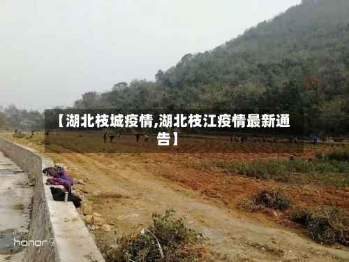 【湖北枝城疫情,湖北枝江疫情最新通告】