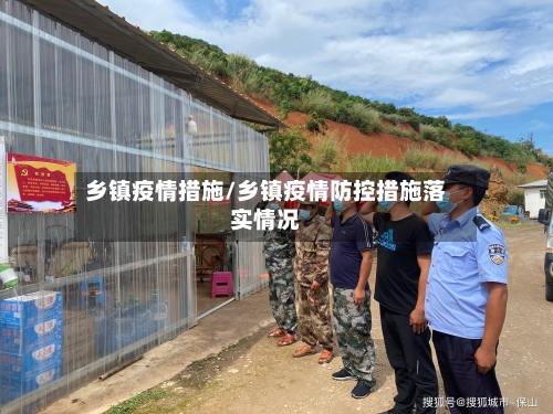 乡镇疫情措施/乡镇疫情防控措施落实情况
