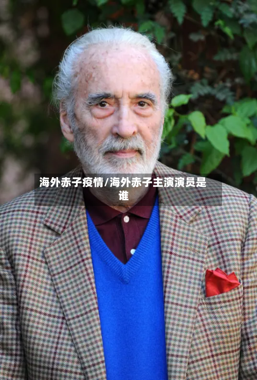 海外赤子疫情/海外赤子主演演员是谁