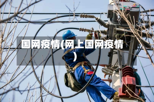 国网疫情(网上国网疫情)