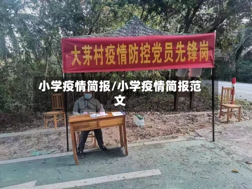 小学疫情简报/小学疫情简报范文