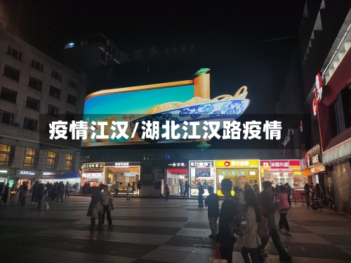 疫情江汉/湖北江汉路疫情