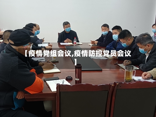 【疫情党组会议,疫情防控党员会议】