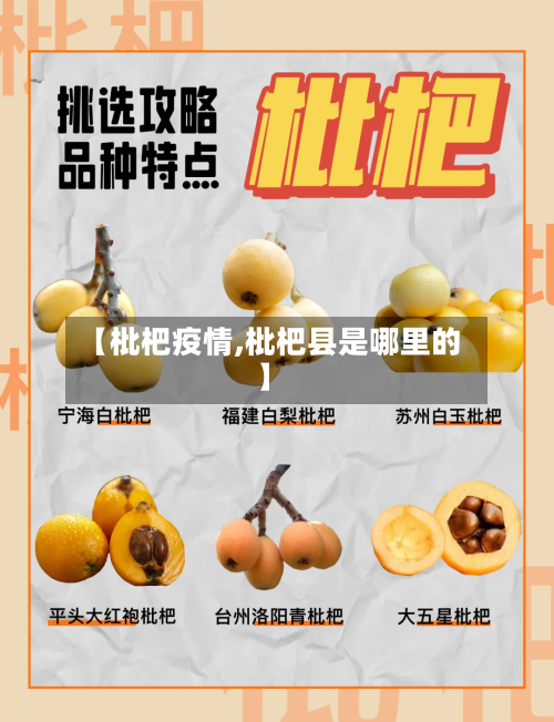 【枇杷疫情,枇杷县是哪里的】